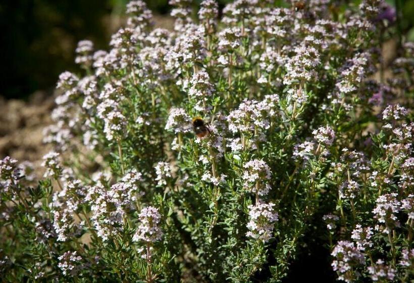 فندق Relais Parco Del Subasio