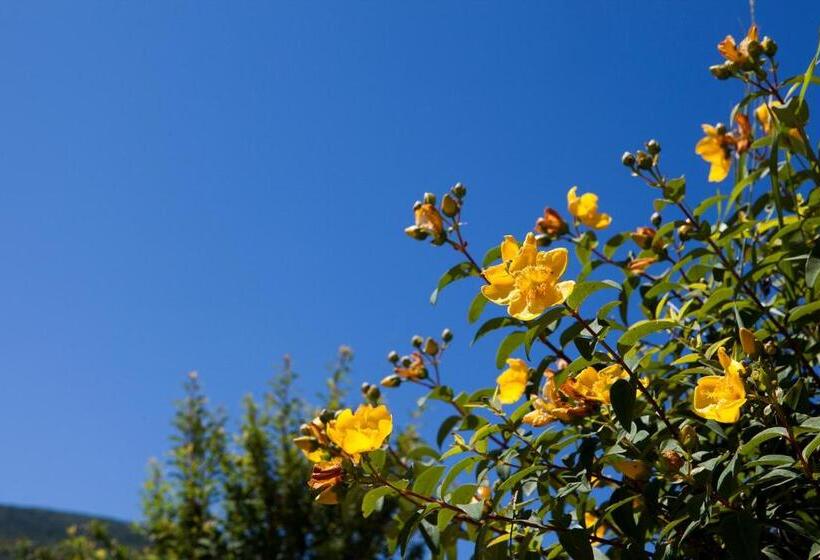 فندق Relais Parco Del Subasio