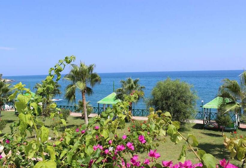 酒店 Royal Sebaste