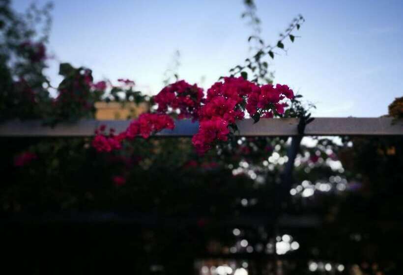 Отель Santa Caterina