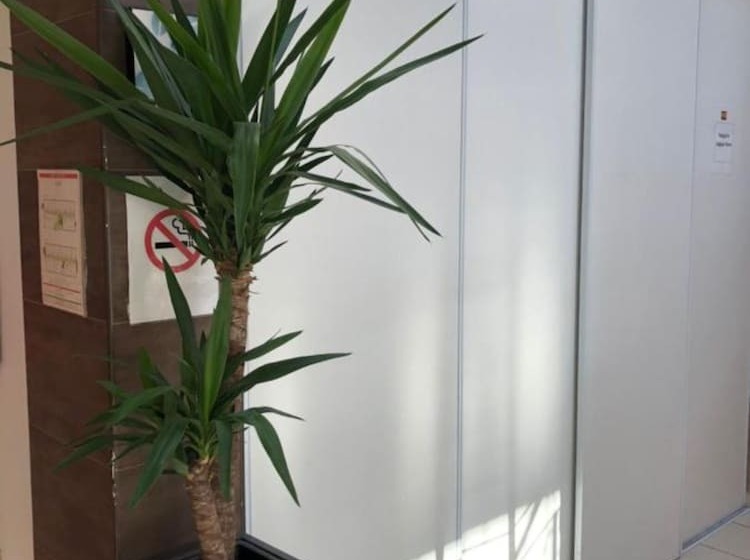 ホテル Paris Pacific Paris Villejuif  Pres Du Metro L Hay Les Roses Ligne 14   Direct Paris Aeroport Orly E