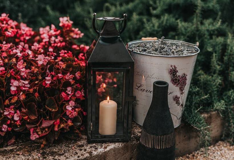 호텔 Villa Eugenia