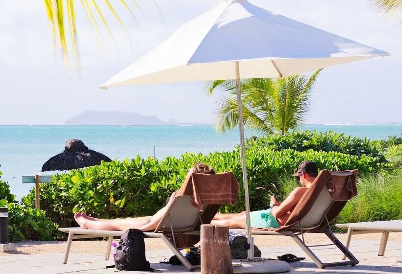 ホテル Zilwa Attitude