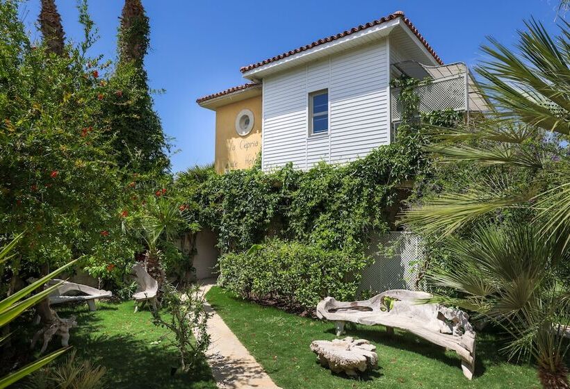 La Capria Suite Hotel Alaçatı   Adults Only