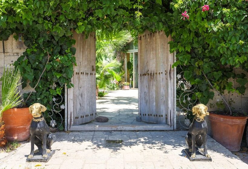 La Capria Suite Hotel Alaçatı   Adults Only