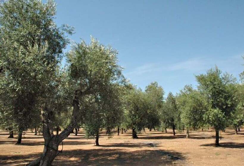 Agriturismo Masseria Del Bosco Makyva