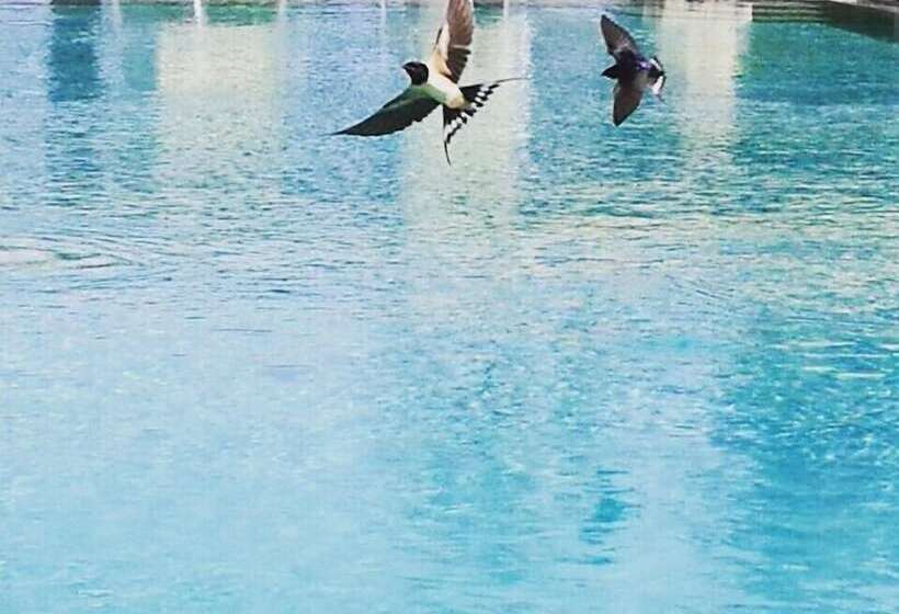 Agriturismo Masseria Del Bosco Makyva