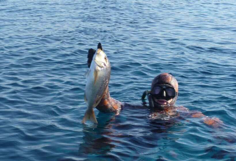 Paraschos Studios Kos