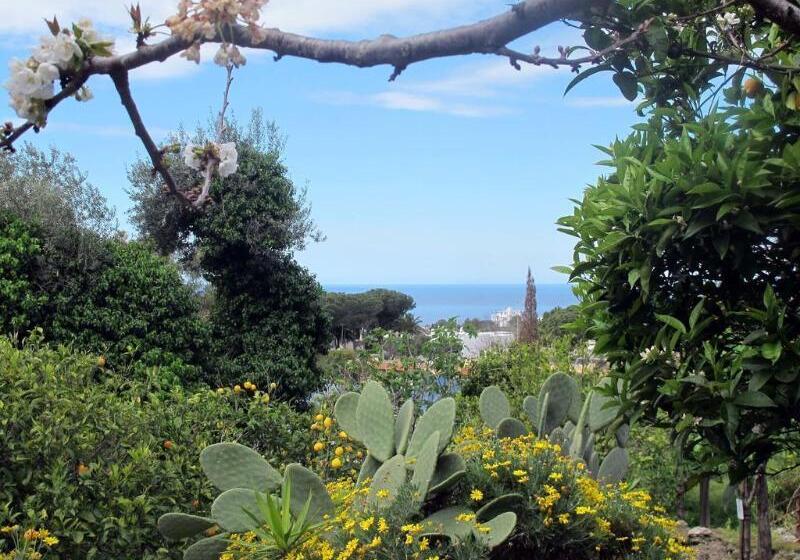 リゾートホテル Aparthotel Villa Marinù