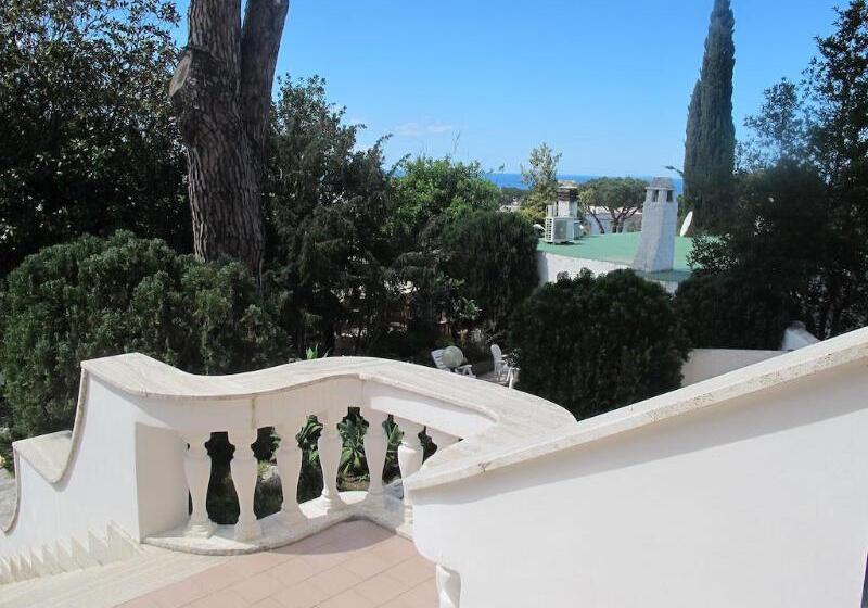 リゾートホテル Aparthotel Villa Marinù