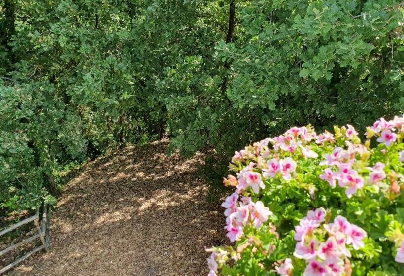 אתר נופש Borgo San Francesco