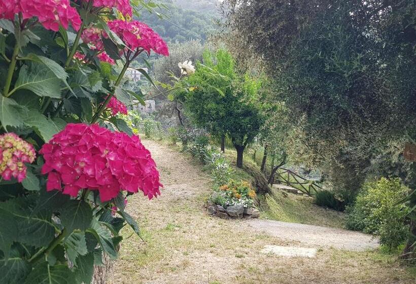 אתר נופש Borgo San Francesco