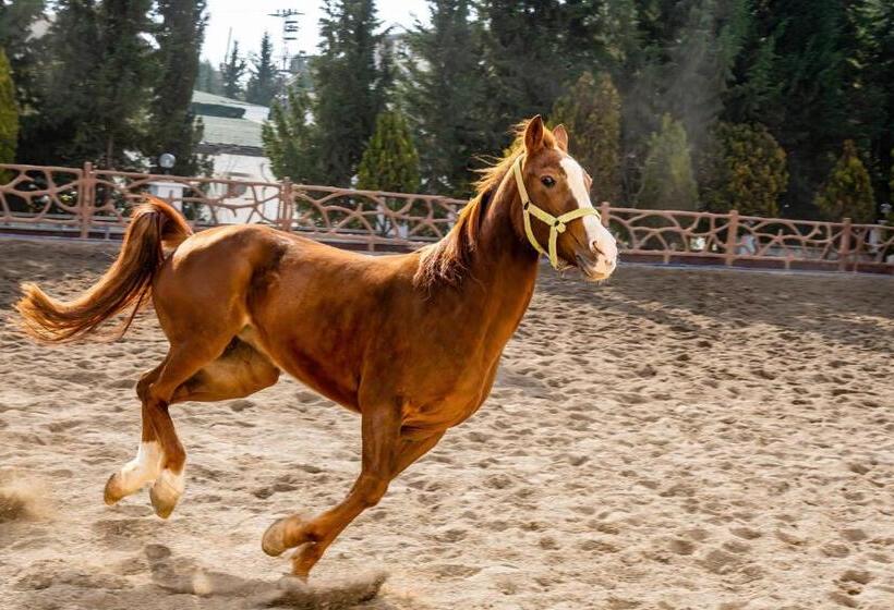 استراحتگاه Ugurlu Termal Tatil Köyü