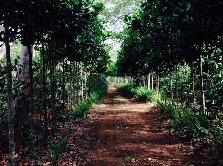 D' Santos Hotel Boutique