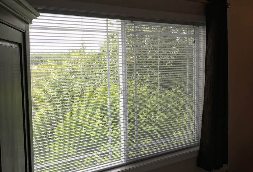 فندق Arctic Fox Inn