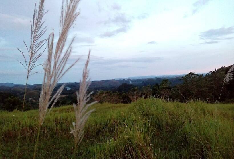 호텔 Batuan Hammock Hostel