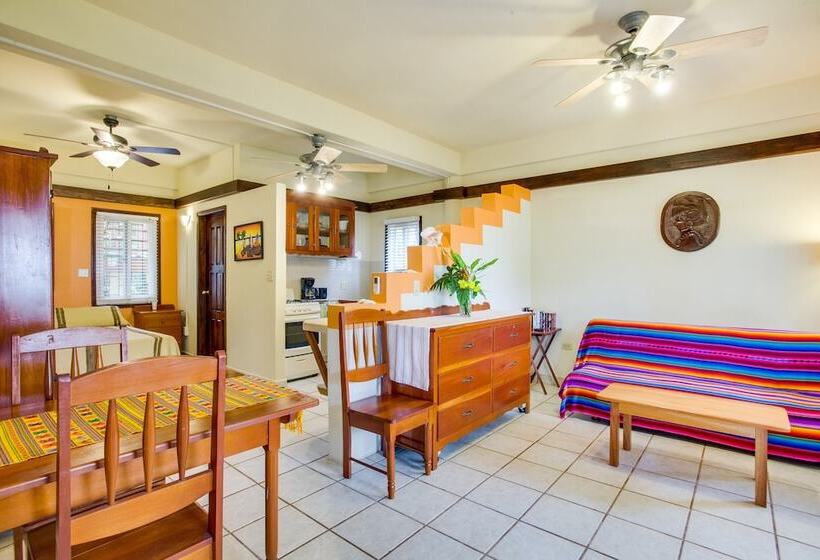 בית מלון כפרי Buttonwood Belize