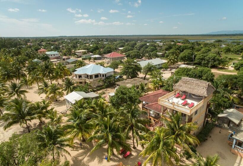 בית מלון כפרי Buttonwood Belize