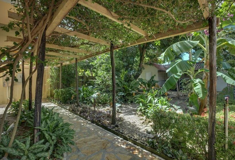 فندق Buttonwood Belize