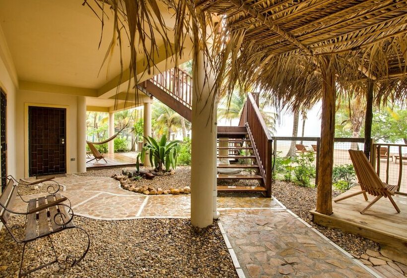 בית מלון כפרי Buttonwood Belize