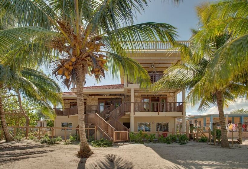 בית מלון כפרי Buttonwood Belize