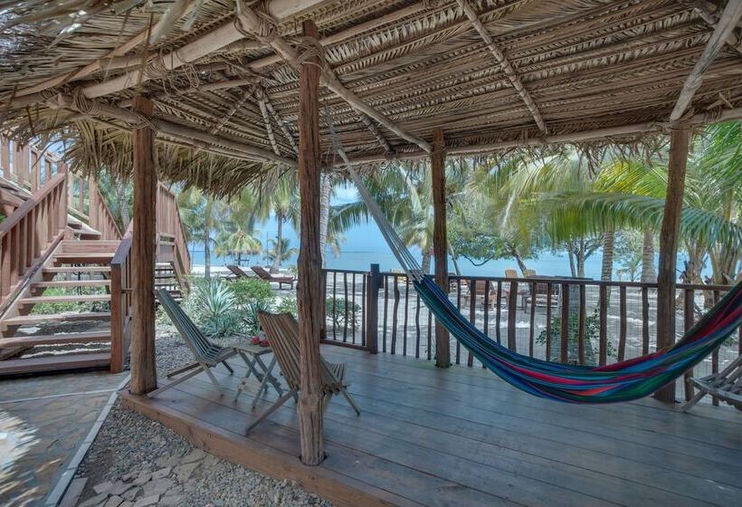 בית מלון כפרי Buttonwood Belize