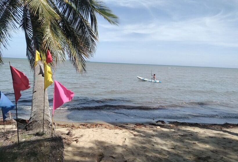 בית מלון כפרי Chilly Beach Resort Palawan