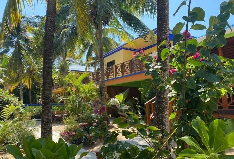 فندق Coconut Row