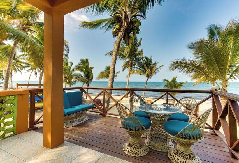 فندق Coconut Row