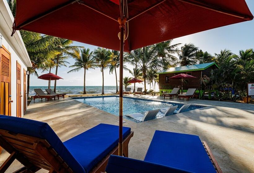 فندق Coconut Row