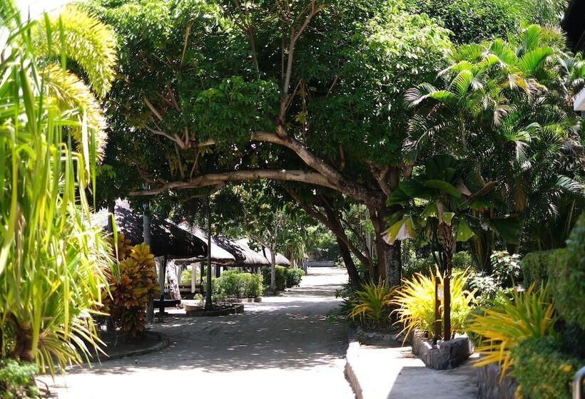 ホテル Palm Beach Resort