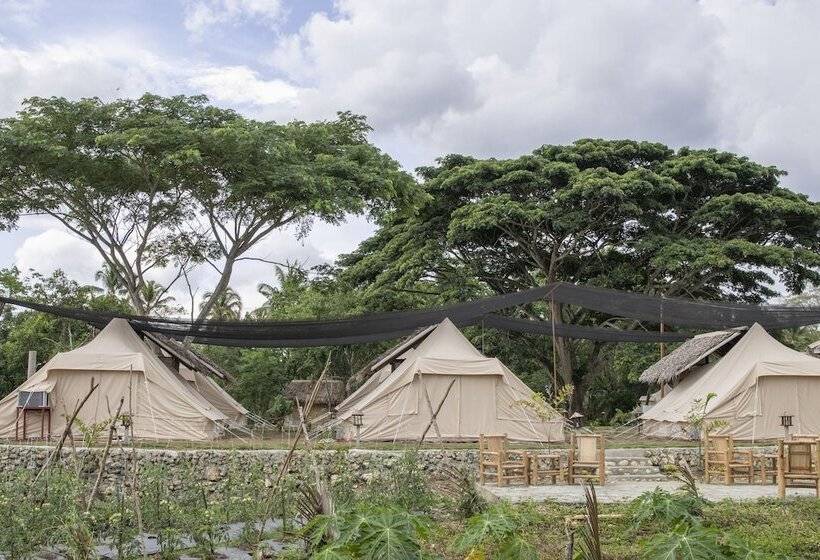 ホテル The Acacia Glamping Park