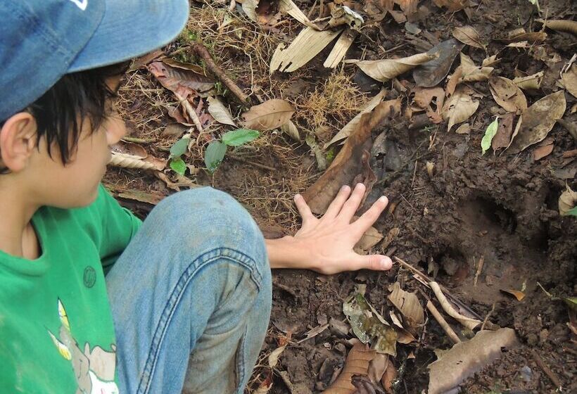 Отель Yatama Ecolodge Sarapiqui