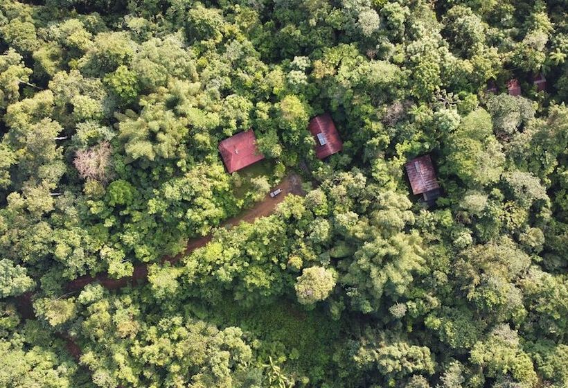 Отель Yatama Ecolodge Sarapiqui