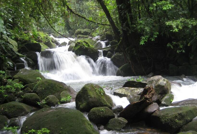 Отель Yatama Ecolodge Sarapiqui