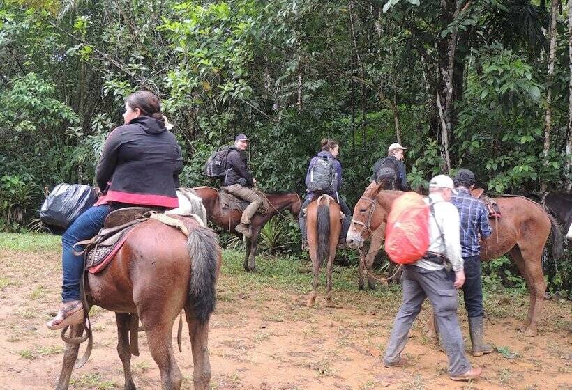 Отель Yatama Ecolodge Sarapiqui