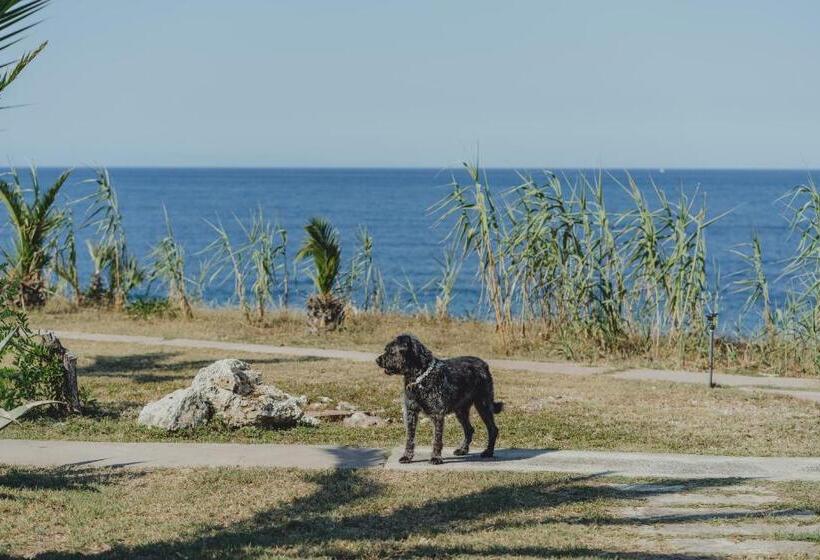 Acquasanta Europaclub