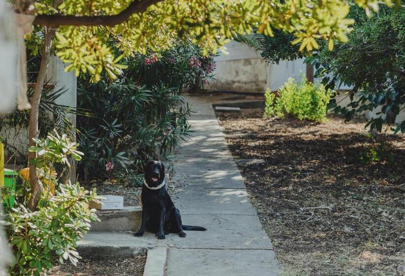 Acquasanta Europaclub