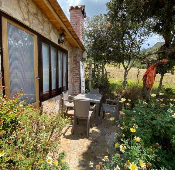 Bed and Breakfast Cabaña Media Luna