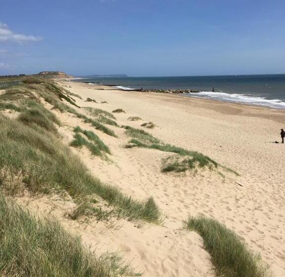 ベッドアンドブレックファースト No Car Needed