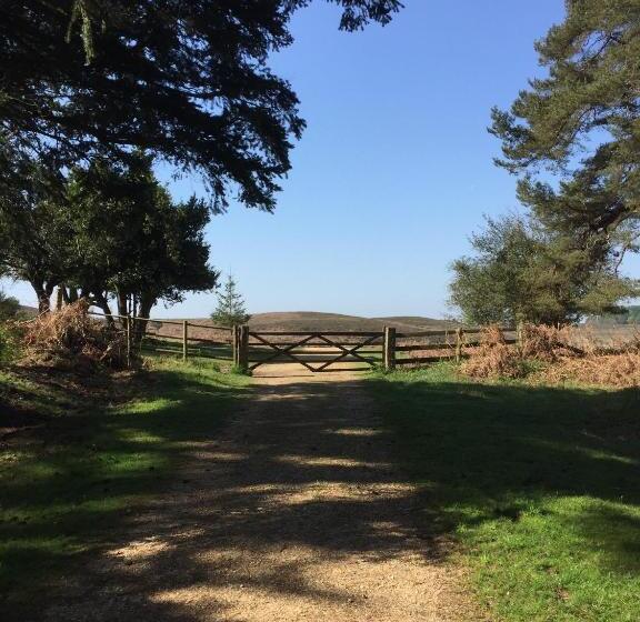 ベッドアンドブレックファースト No Car Needed