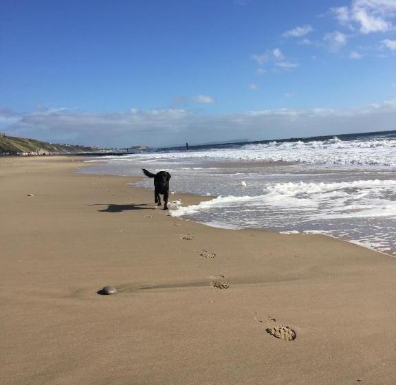 ベッドアンドブレックファースト No Car Needed