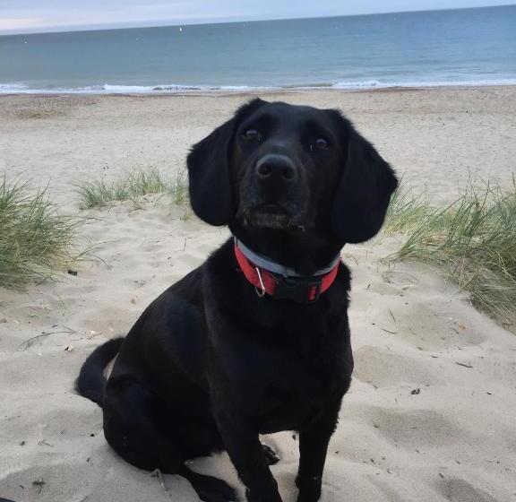 ベッドアンドブレックファースト No Car Needed