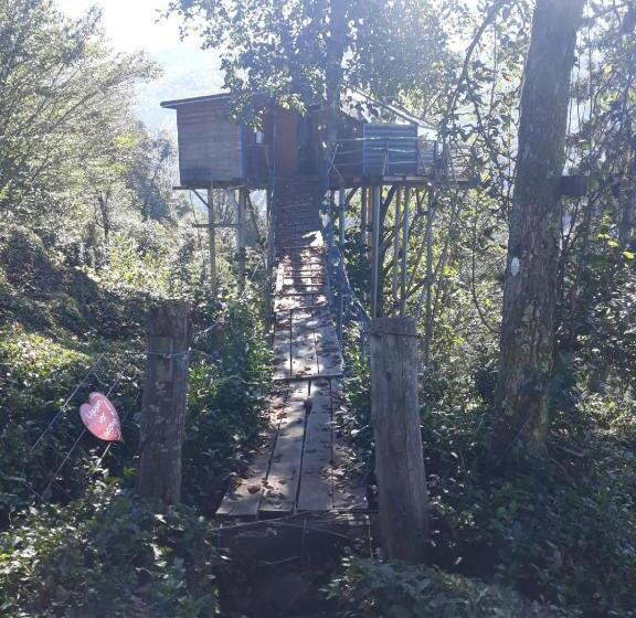 ベッドアンドブレックファースト Olimbera Köy Evi