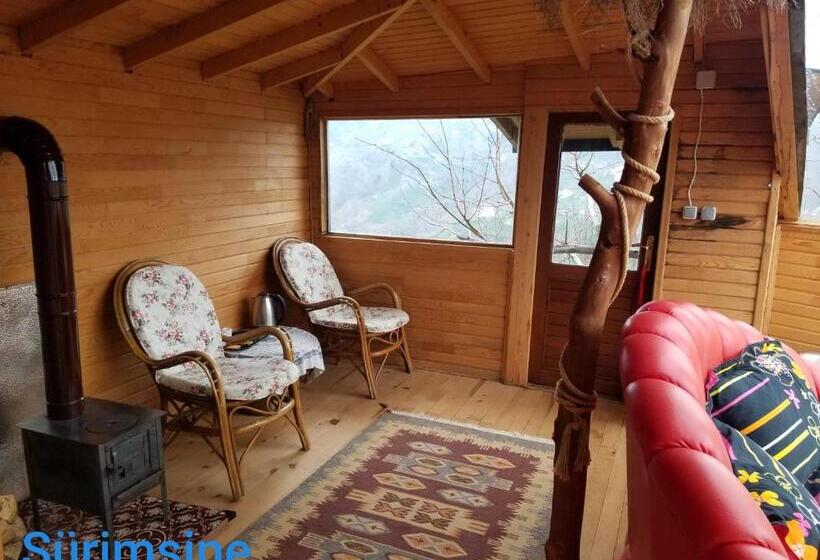 تختخواب و صبحانه Olimbera Köy Evi