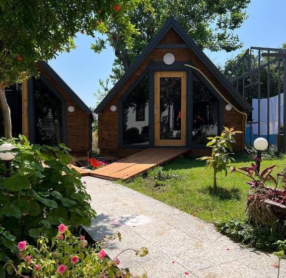 تختخواب و صبحانه Palma Rosa