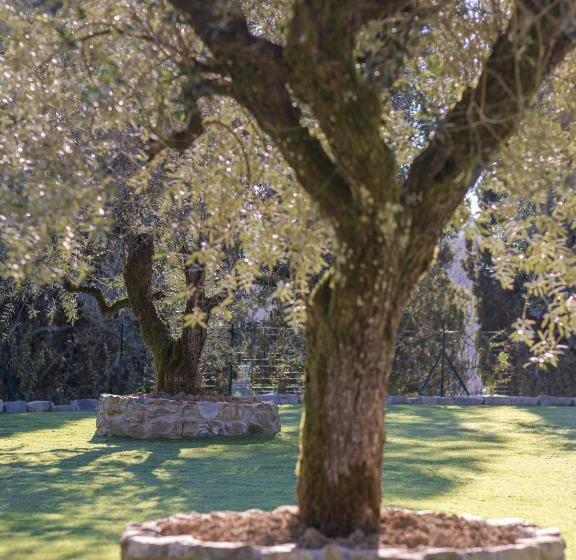 تختخواب و صبحانه Rivo Della Corte