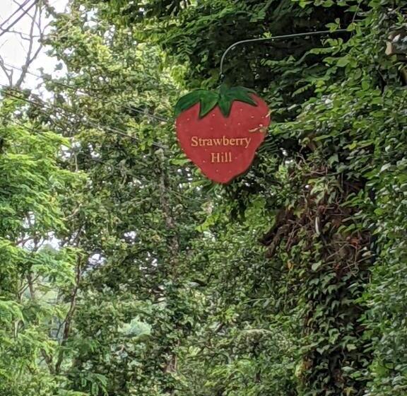 مبيت وإفطار Strawberry Hill