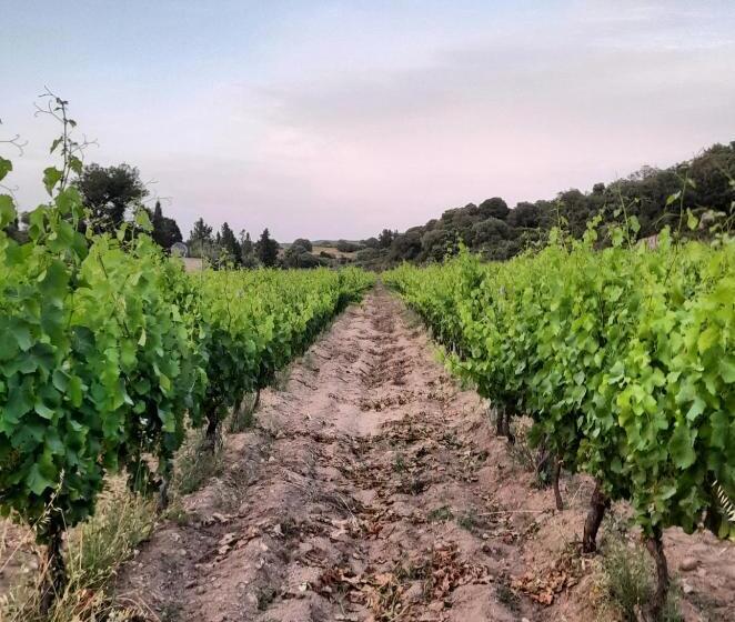 فندق Agriturismo Palas De Serra Country Resort