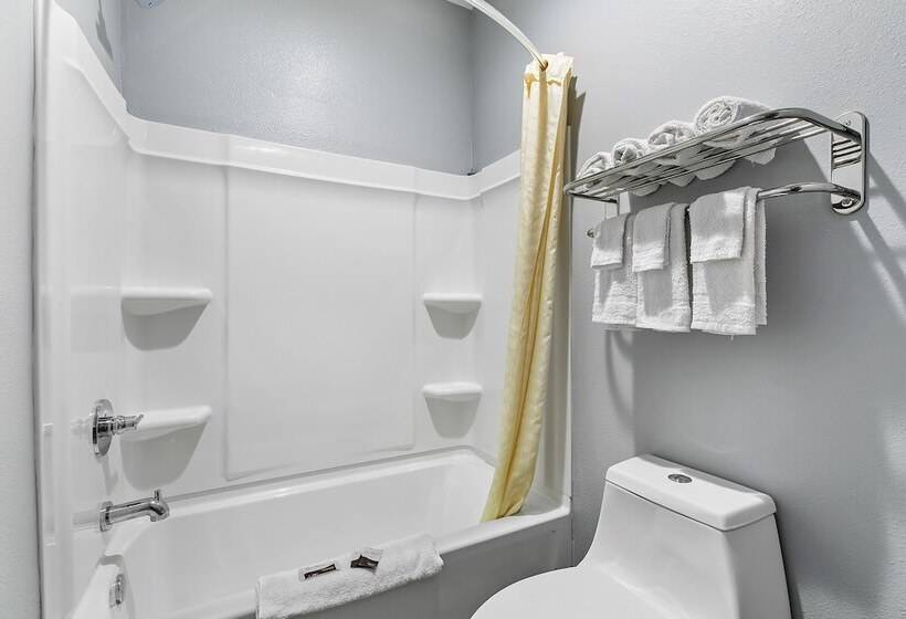 فندق El Delfin Lodge